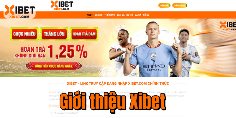 Giới Thiệu Xibet – Điểm Hẹn Giải Trí Online Uy Tín Hàng Đầu Giới Thiệu Xibet – Điểm Hẹn Giải Trí Online Uy Tín Hàng Đầu