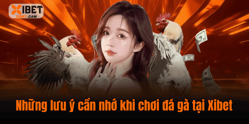 Những lưu ý cần nhớ khi chơi đá gà tại Xibet